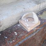 Sfregio alla statua di San Pio, identificato l'autore: "Chiedo scusa, risarcirò i danni" - Corriere Salentino