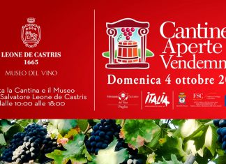 Cantine Aperte in Vendemmia 2020