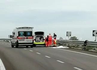 Schianto contro il guardrail, l’auto prende fuoco: muore automobilista di 44 anni