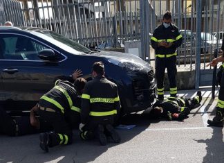 La signora Gatto salva un gatto. Storia a lieto fine nel primo giorno del nuovo Dpcm