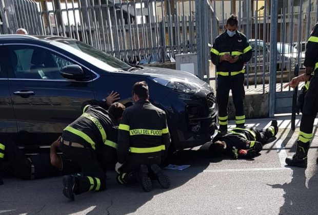 La signora Gatto salva un gatto. Storia a lieto fine nel primo giorno del nuovo Dpcm - Corriere Salentino