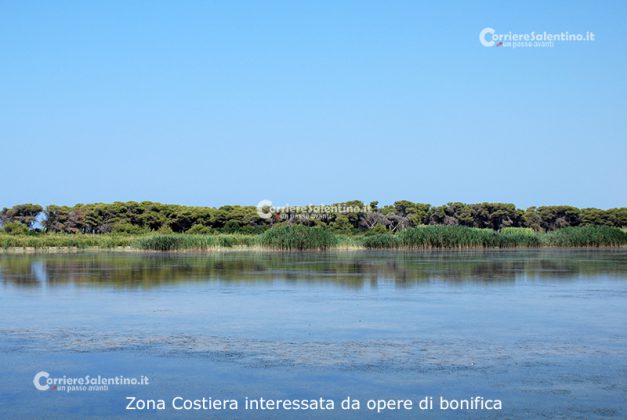Flora e vegetazione del Salento: La “Grande Foresta” di Lecce - Corriere Salentino