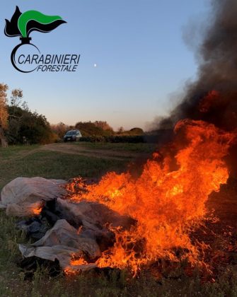 Gestione e smaltimento illecito di rifiuti: tre denunciati. Nei guai anche una ditta - Corriere Salentino