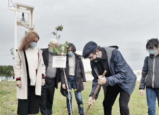 Giornata dell’albero a Lecce le prime sei querce nel Giardino dei semplici