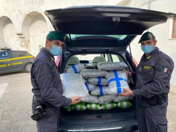 Dal Modenese al Salento con 76 chili di marijuana nel bagagliaio: fermato corriere - Corriere Salentino