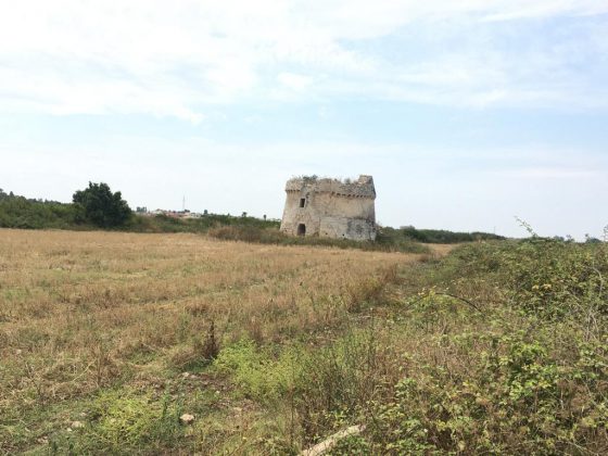 Alla scoperta del Salento: la Chiesetta di Santa Maria d’Aurio - Corriere Salentino