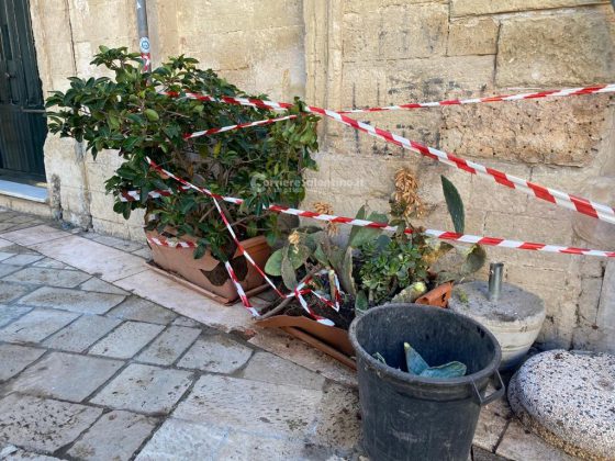 Ubriaco al volante, semina il panico in centro: sfascia auto, fioriere e poi si scaglia contro la polizia - Corriere Salentino