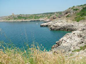 Alla scoperta del Salento: carsificazione nelle celle geomagnetiche (XIII parte) - Corriere Salentino