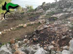 Macchia mediterranea recisa e data alle fiamme nel parco naturale: scattano due denunce - Corriere Salentino