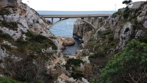 Voglia di evadere? Prima del lockdown regalatevi uno spettacolo naturale unico al Mondo:il sentiero delle Cipolliane - Corriere Salentino