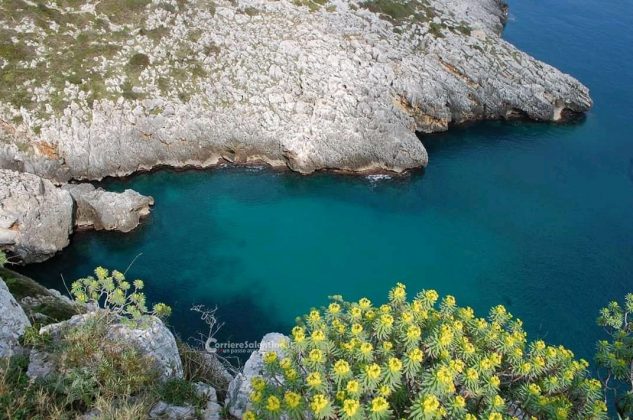 Alla scoperta del Salento: il Ciolo - Corriere Salentino