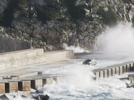 Al loro passaggio cadono due alberi, miracolate due sorelle. Danni da maltempo in tutta la provincia - Corriere Salentino