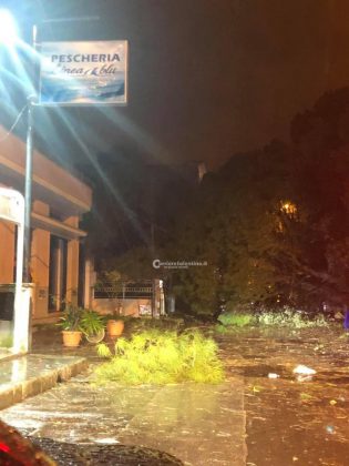 Al loro passaggio cadono due alberi, miracolate due sorelle. Danni da maltempo in tutta la provincia - Corriere Salentino