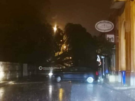 Al loro passaggio cadono due alberi, miracolate due sorelle. Danni da maltempo in tutta la provincia - Corriere Salentino