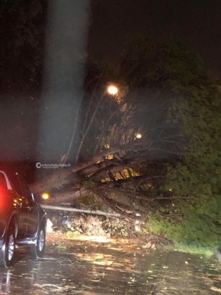 Al loro passaggio cadono due alberi, miracolate due sorelle. Danni da maltempo in tutta la provincia - Corriere Salentino