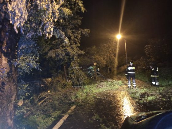Al loro passaggio cadono due alberi, miracolate due sorelle. Danni da maltempo in tutta la provincia - Corriere Salentino