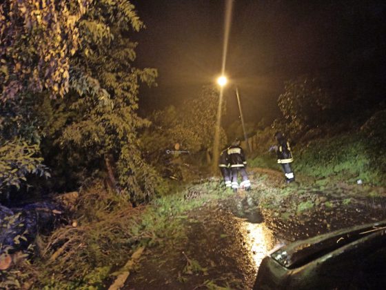 Al loro passaggio cadono due alberi, miracolate due sorelle. Danni da maltempo in tutta la provincia - Corriere Salentino