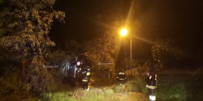 Al loro passaggio cadono due alberi, miracolate due sorelle. Danni da maltempo in tutta la provincia - Corriere Salentino