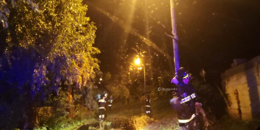 Al loro passaggio cadono due alberi, miracolate due sorelle. Danni da maltempo in tutta la provincia - Corriere Salentino
