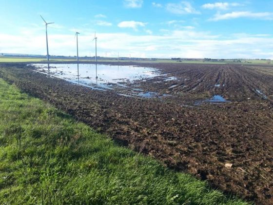 Maltempo, Coldiretti Puglia: “E’ calamità in agricoltura. Sos grano, ortaggi e olive" - Corriere Salentino