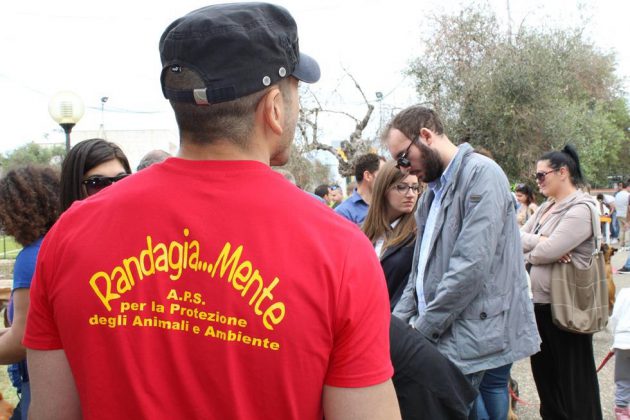 Mi chiamo “Giò Randa”… ma per altri sono un RANDA..GIO! - Corriere Salentino