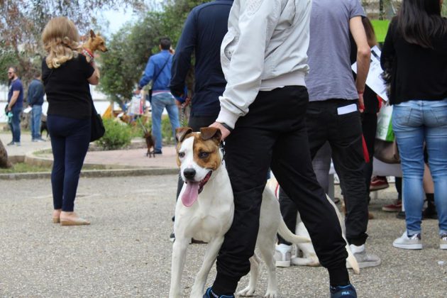 Mi chiamo “Giò Randa”… ma per altri sono un RANDA..GIO! - Corriere Salentino