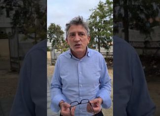 Mercato “Li Columbi”, domande per i box in scadenza, Ciccarese Gorgoni: “Grande opportunità per i commercianti”