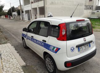 Ladri tentano il furto in un deposito agricolo, sfondano i portoni ma fuggono a mani vuote