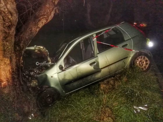 Fuori strada con l'auto, poi lo schianto contro un ulivo: tanta paura per un 32enne - Corriere Salentino
