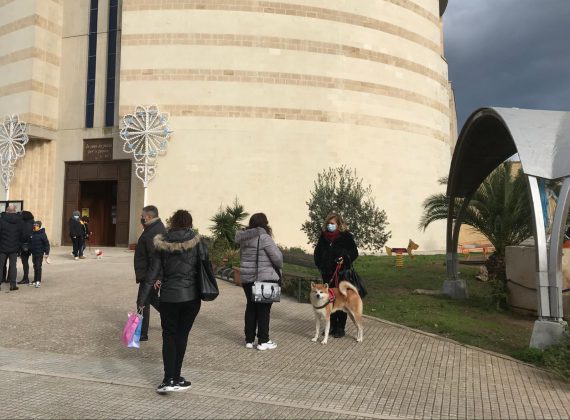 Benedizione degli animali presso la chiesa di San Massimiliano Kolbe a Lecce - Corriere Salentino