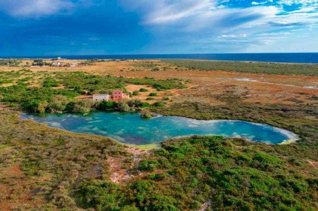 Nardò, il calendario 2021 dedicato al Parco Naturale Regionale di Portoselvaggio - Corriere Salentino