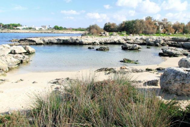 Nardò, il calendario 2021 dedicato al Parco Naturale Regionale di Portoselvaggio - Corriere Salentino