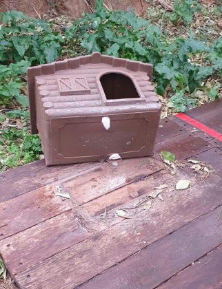 Colonia felina del cimitero sotto attacco. La denuncia dei volontari: "Cucce sradicate a calci" - Corriere Salentino