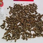 In casa dosi di marijuana pronte per lo spaccio, scattano i domiciliari per due giovani - Corriere Salentino