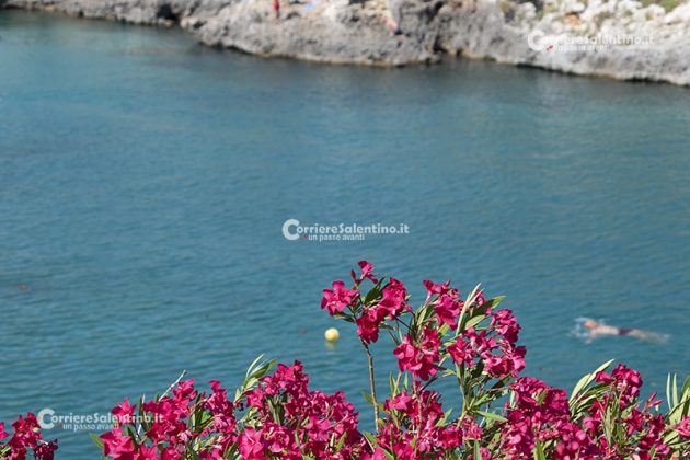 Alla scoperta del Salento: Porto Badisco - Corriere Salentino