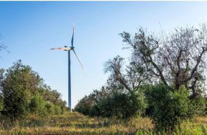 Surbo: Inergia spa dice sì. Entro il 30 marzo la progettazione esecutiva per riqualificare l’area attorno al Palazzetto dello Sport - Corriere Salentino