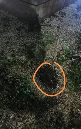 Vandali in azione a Nardò, danneggiata la stele commemorativa - Corriere Salentino