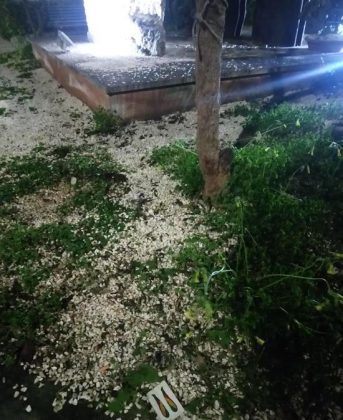 Vandali in azione a Nardò, danneggiata la stele commemorativa - Corriere Salentino