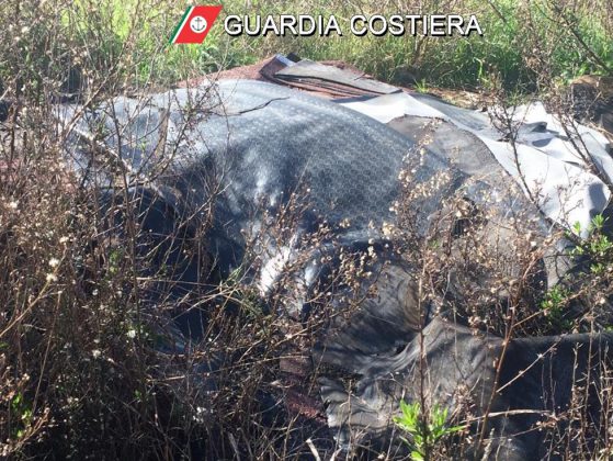 Scoperta discarica abusiva a cielo aperto: scatta il sequestro. Caccia ai responsabili - Corriere Salentino