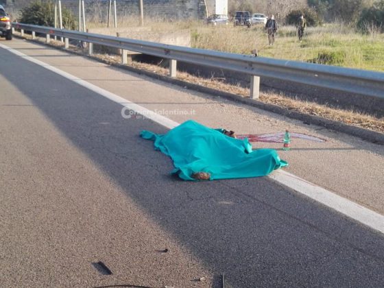 Travolto da auto pirata sulla statale: muore ciclista 45enne. Si costituisce responsabile - Corriere Salentino