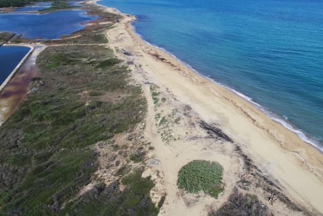 Progetto Welcome: concluso l’intervento sperimentale di ricostituzione del cordone dunale a San Cataldo - Corriere Salentino