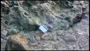 “ L’elisir” della musica per dimenticare i problemi della pandemia, on line il nuovo singolo dei “Magnitudo 12” - Corriere Salentino