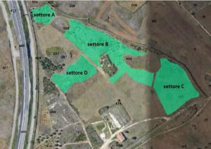 Forestazione urbana: un nuovo bosco tra Lecce e San Cataldo grazie al protocollo tra Lecce ed Arbolia - Corriere Salentino