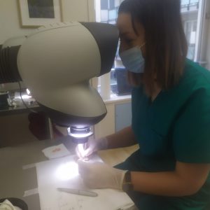 Trapianto dei capelli, il Salento si mette al passo. FUT e FUE: il dottor Sciannamea spiega le tecniche - Corriere Salentino