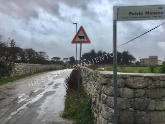 Idee e Rinnovamento chiede più sicurezza in via Vecchia Merine percorsa dalla storica via Francigena - Corriere Salentino