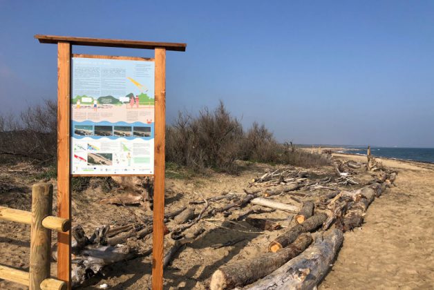 Progetto Welcome: concluso l’intervento sperimentale di ricostituzione del cordone dunale a San Cataldo - Corriere Salentino