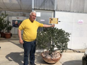 L’agricoltura salentina che è andata oltre gli ulivi conquistando il mondo con il melograno e i frutti tropicali: il successo di Cairo & Doutcher - Corriere Salentino