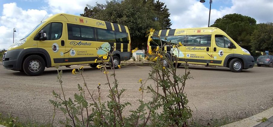 Minervino, arrivano gli “APEbus” - Corriere Salentino