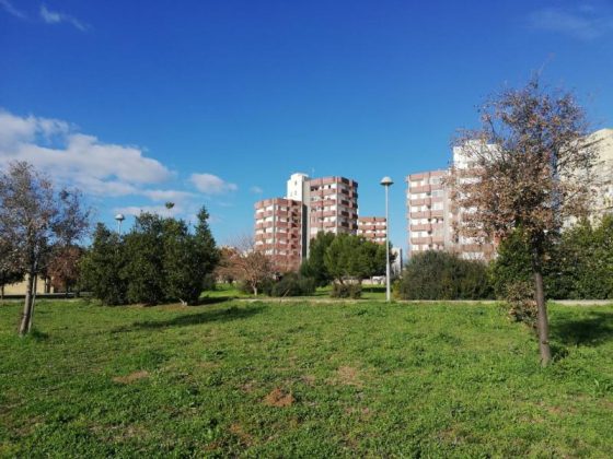 Progetti sociali: la giunta concede tre aree verdi alle associazioni - Corriere Salentino