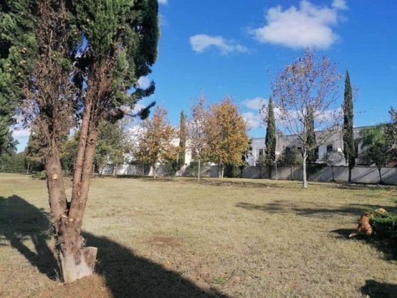 Progetti sociali: la giunta concede tre aree verdi alle associazioni - Corriere Salentino